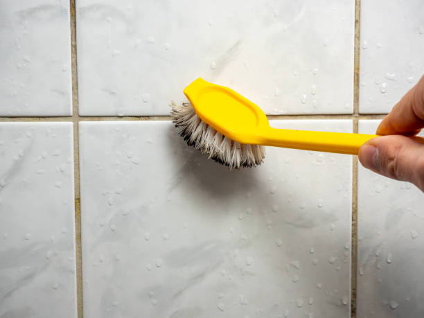 Best Kitchen Mold Remediation in Olney, IL