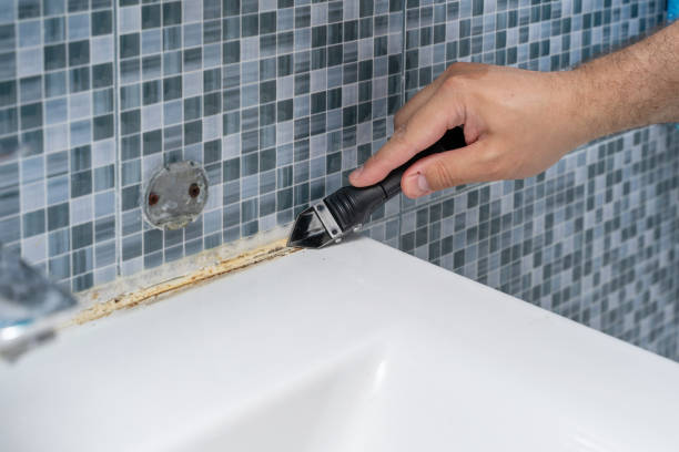 Best Health and Safety Mold Remediation in Olney, IL